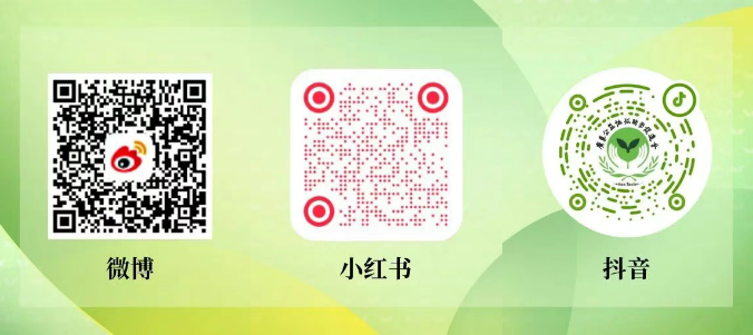1755222016083.png