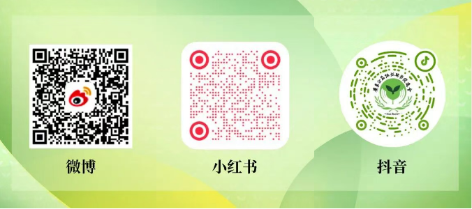 1757900575065.png